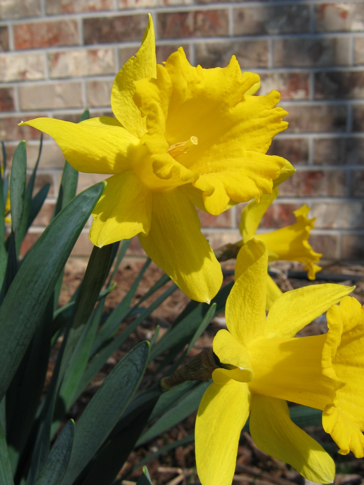 Six on Saturday: Awaiting&nbsp;Spring