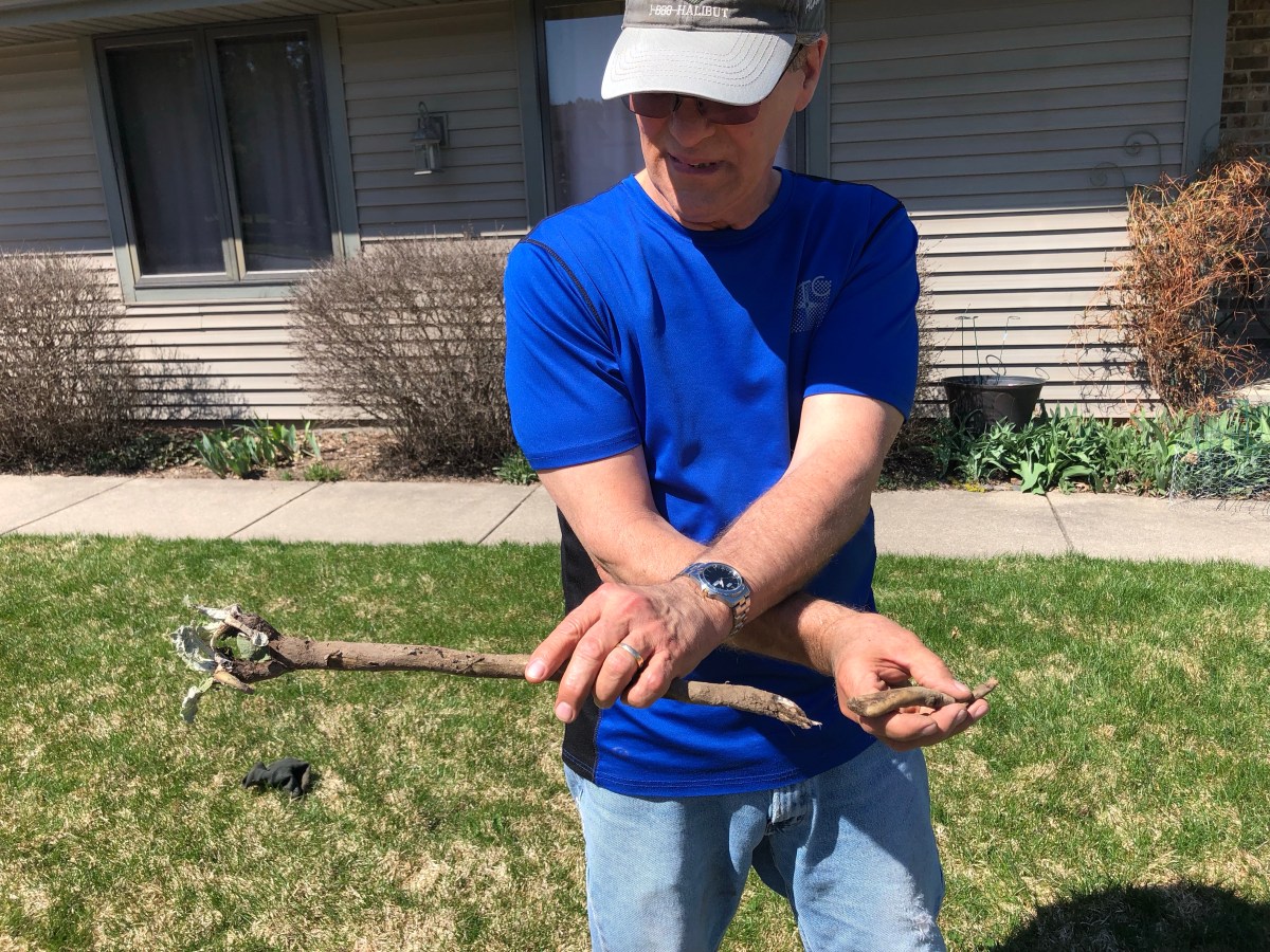 Getting the Tap&nbsp;Root