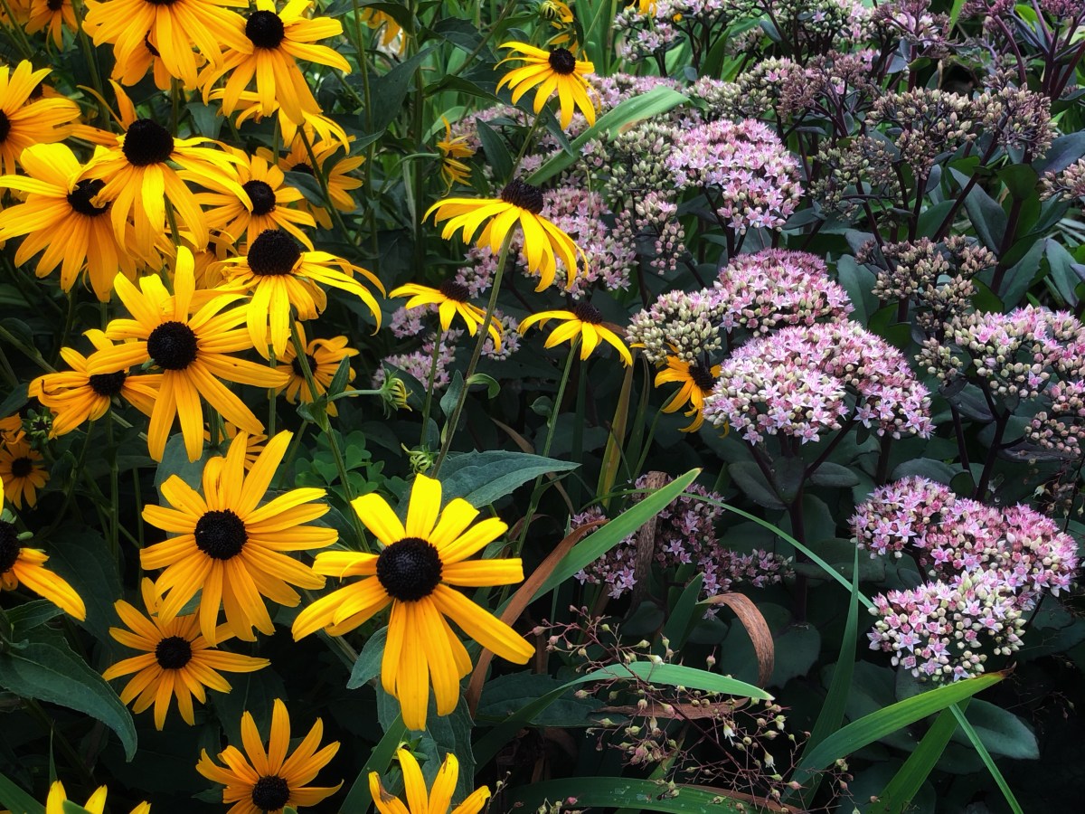 The Perks of Pulling&nbsp;Weeds